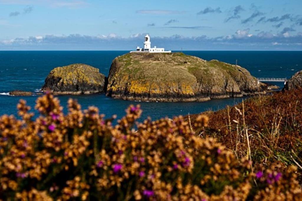 Pembrokeshire Apartment Goodwick エクステリア 写真